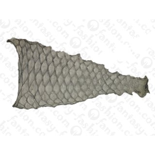 Parrot fish skin / 40x14cm