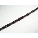 Dap Dap seeds dark csd ca. 14-16x9mm IS