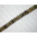 Grey-White Horn Saucer ca. 15x6mm