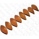 Wasserschlangen Leder Twisted Leaf 57x27mm_Shell Shiny