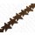Wasserschlangen Leder Star Shape 45mm_Bronze