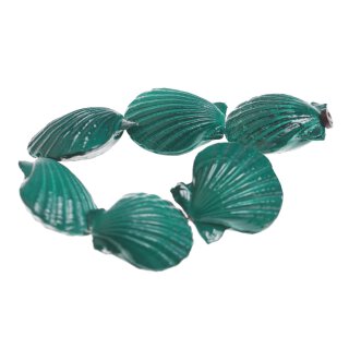 Shell scallop fan shape / 35mm