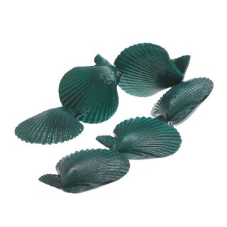 Muschel scallop fan shape / 78mm *
