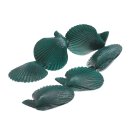 Shell scallop fan shape / 78mm