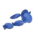 Shell scallop fan shape / 78mm