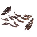 Shell troca  leaf carving / 58x20mm