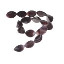 Muschel oyster Oval 3 sided / 25x15mm