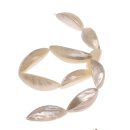shell Cabibi garlic  / 40x15mm