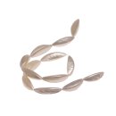 shell Cabibi garlic  / 30x10mm