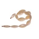 Muschel MOP Flat oval 4 segments / 30x10mm