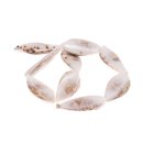 Shell cowrie teardrop  / 50x20x10mm