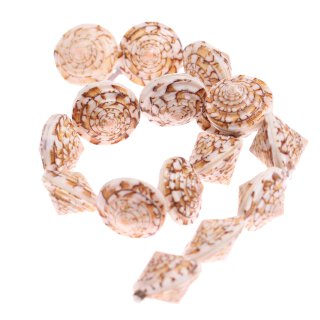 Shell conus head round acob / 25x17mm