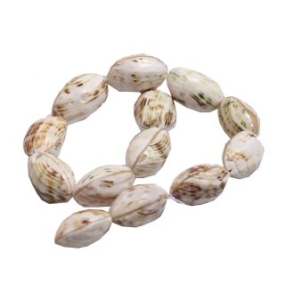 Shell Turbo  oval acob / 28x17x15mm