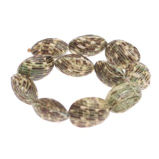 Shell turbo  oval acob / 38x25x20mm