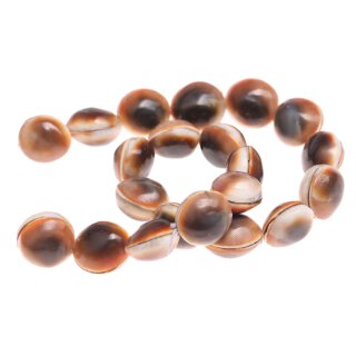 Muschel cats eye ufo / 20x15mm