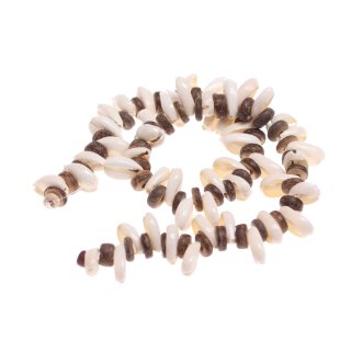 Shell cowrie half cut / 14x8mm