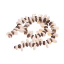 Muschel cowrie half cut / 14x8mm