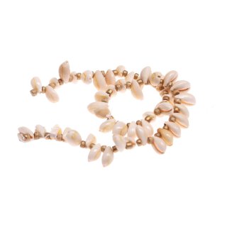 Muschel cowrie half cut / 15x10mm