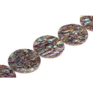 shell Paua  flat round cracking / 58x5mm