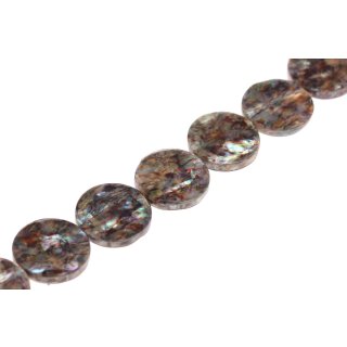 Muschel paua  flat round cracking / 30x5mm