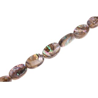 Shell paua  Flat oval  / 25x15x6mm