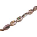 Muschel paua  Flat oval  / 25x15x6mm
