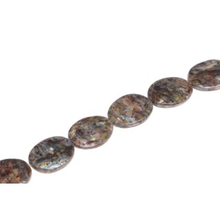 Muschel paua  flat oval  / 35x27x7mm