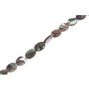 Muschel paua  flat oval  / 16x7x4mm