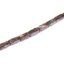 shell paua  rectangle / 26x10mm