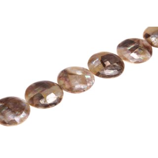 Shell brownlip ufo laminated / 42mm