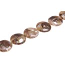 Shell brownlip ufo laminated / 42mm