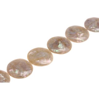 Shell Cabibi ufo laminated / 42mm