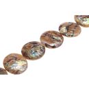 Shell paua  ufo laminated / 42mm