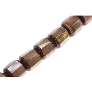 Shell brownlip cylinder w/coco  / 25x23mm