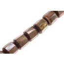 Shell brownlip cylinder w/coco  / 25x23mm