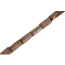 Shell brownlip cylinder   / 30x15mm