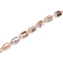 Shell troca-brownlip cylinder   / 25x15mm