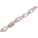 Shell troca-cabibi cylinder   / 25x15mm