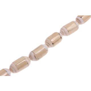 Shell troca-Melo cylinder   / 25x15mm