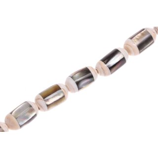 Muschel troca-blacklip cylinder   / 25x15mm