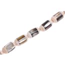 Shell troca-blacklip cylinder   / 25x15mm