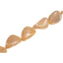 Muschel abalone irregular cracking / 35x25mm