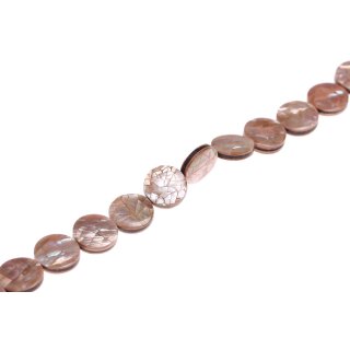 Shell brownlip flat round cracking / 20x6mm