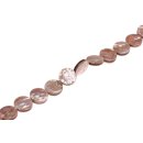 Shell brownlip flat round cracking / 20x6mm