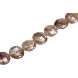 Shell blacklip ufo cracking / 25mm