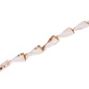 Shell cowrie-MOP fish / 35mm