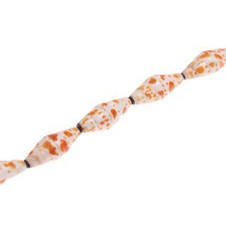 Shell conus double cone   / 48x17mm