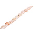 Muschel conus heart   / 30mm