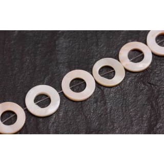 Muschel troca  ring / 20mm