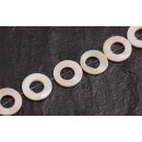 Muschel troca  ring / 20mm